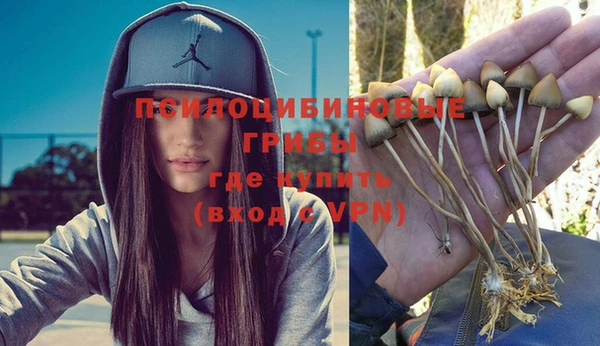 ECSTASY Бугульма