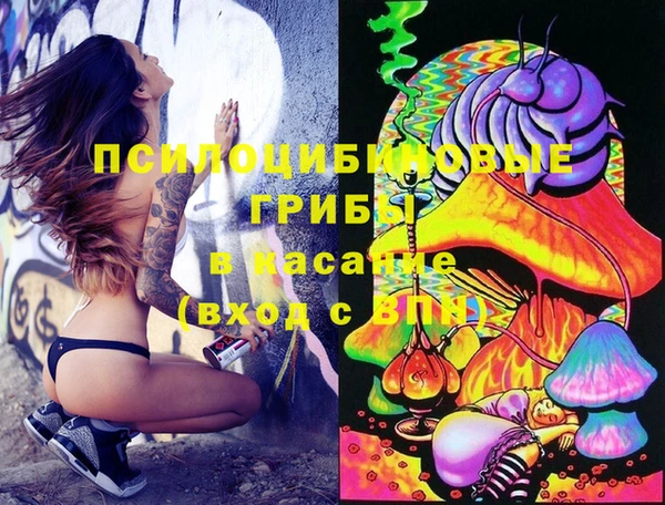 ECSTASY Бугульма