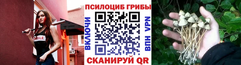 Купить Мелеуз Галлюциногенные грибы мицелий